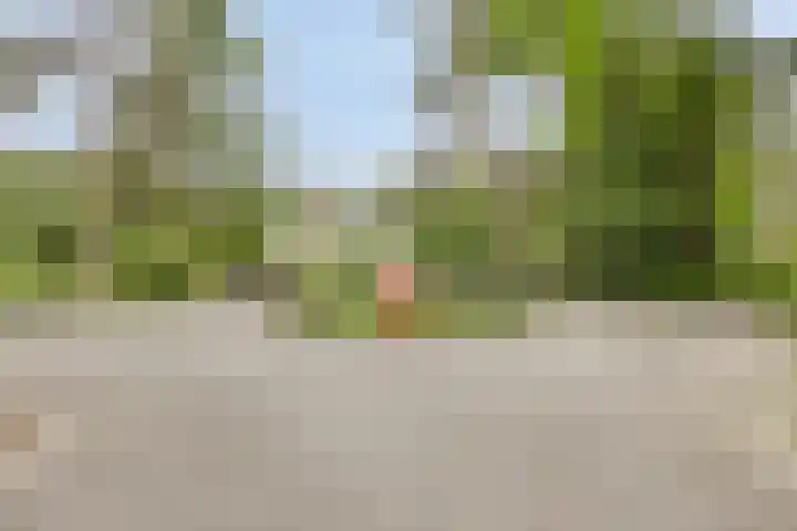 Scheibaan 17 17 Oisterwijk thumbnail 37