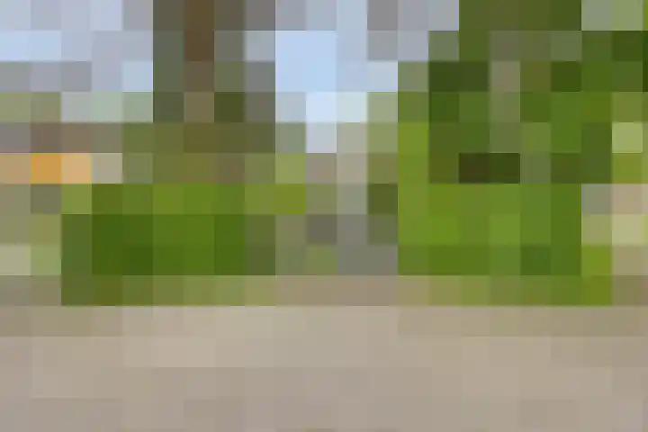 Scheibaan 17 17 Oisterwijk thumbnail 4