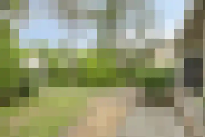 Scheibaan 17 17 Oisterwijk thumbnail 5