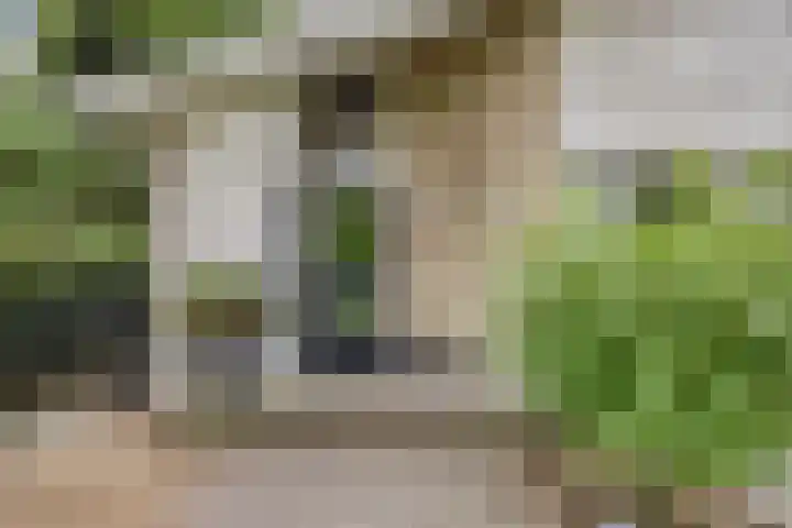 Scheibaan 17 17 Oisterwijk thumbnail 6