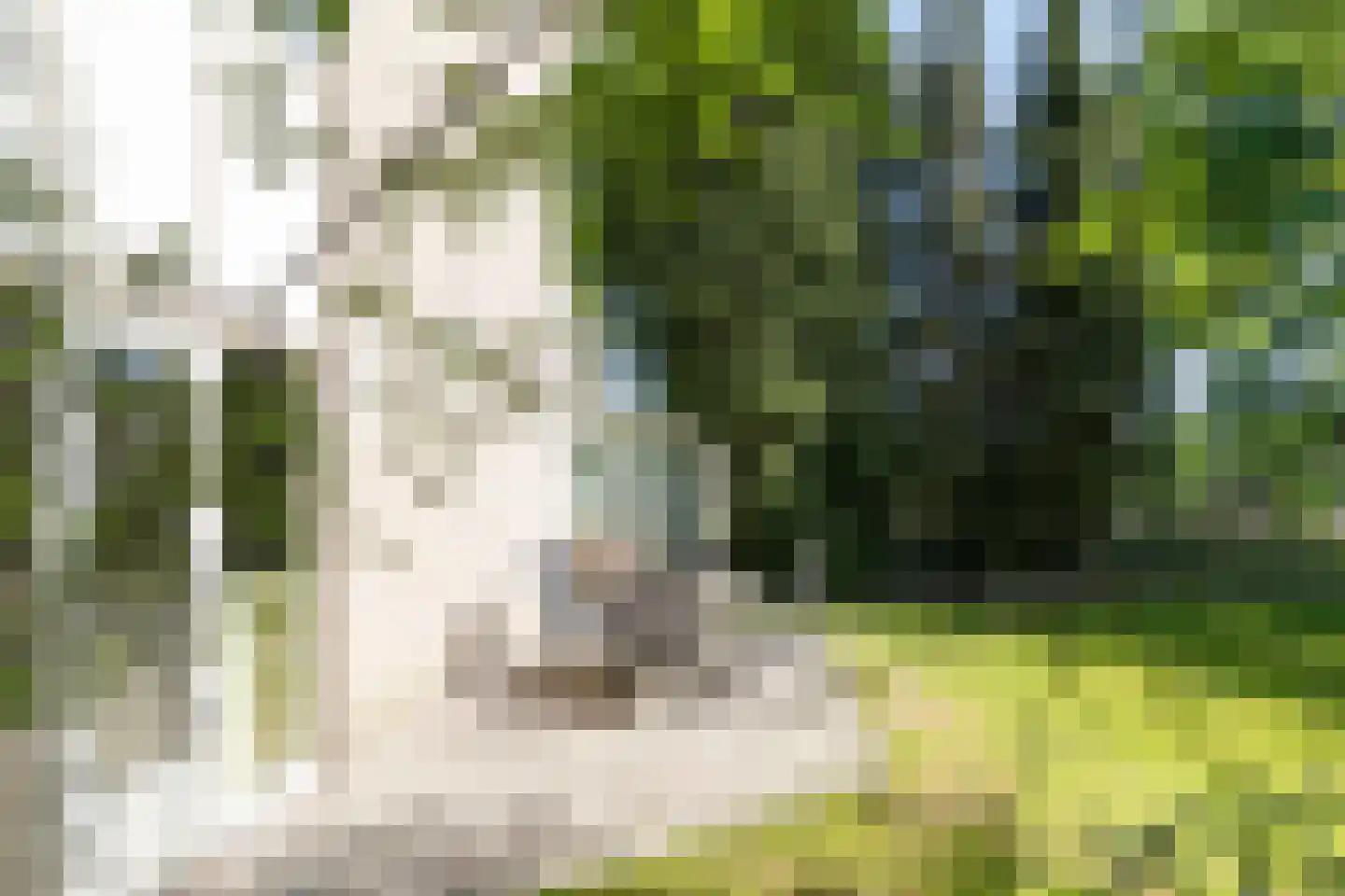 Scheibaan 17 24 Oisterwijk thumbnail 23