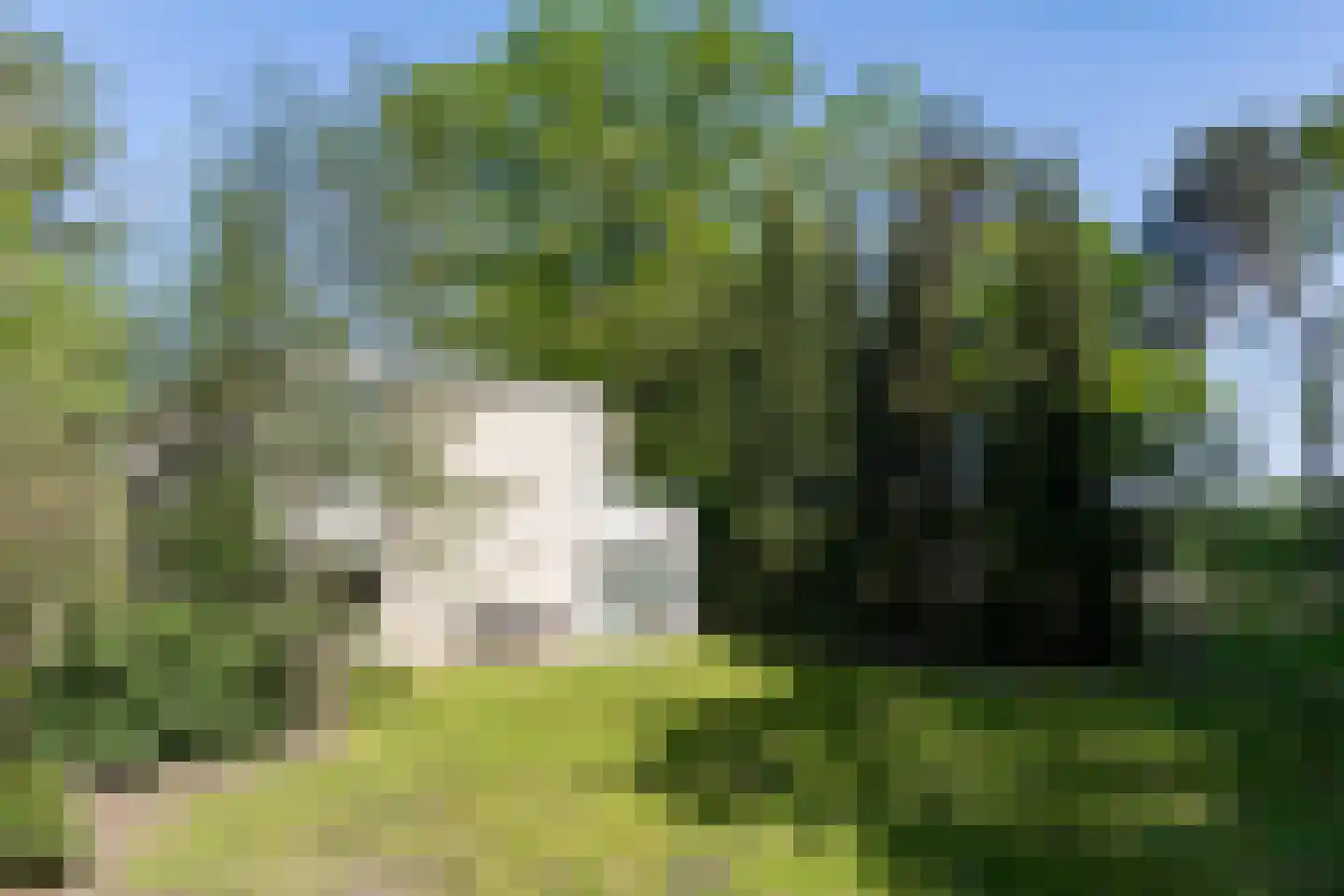 Scheibaan 17 24 Oisterwijk thumbnail 25
