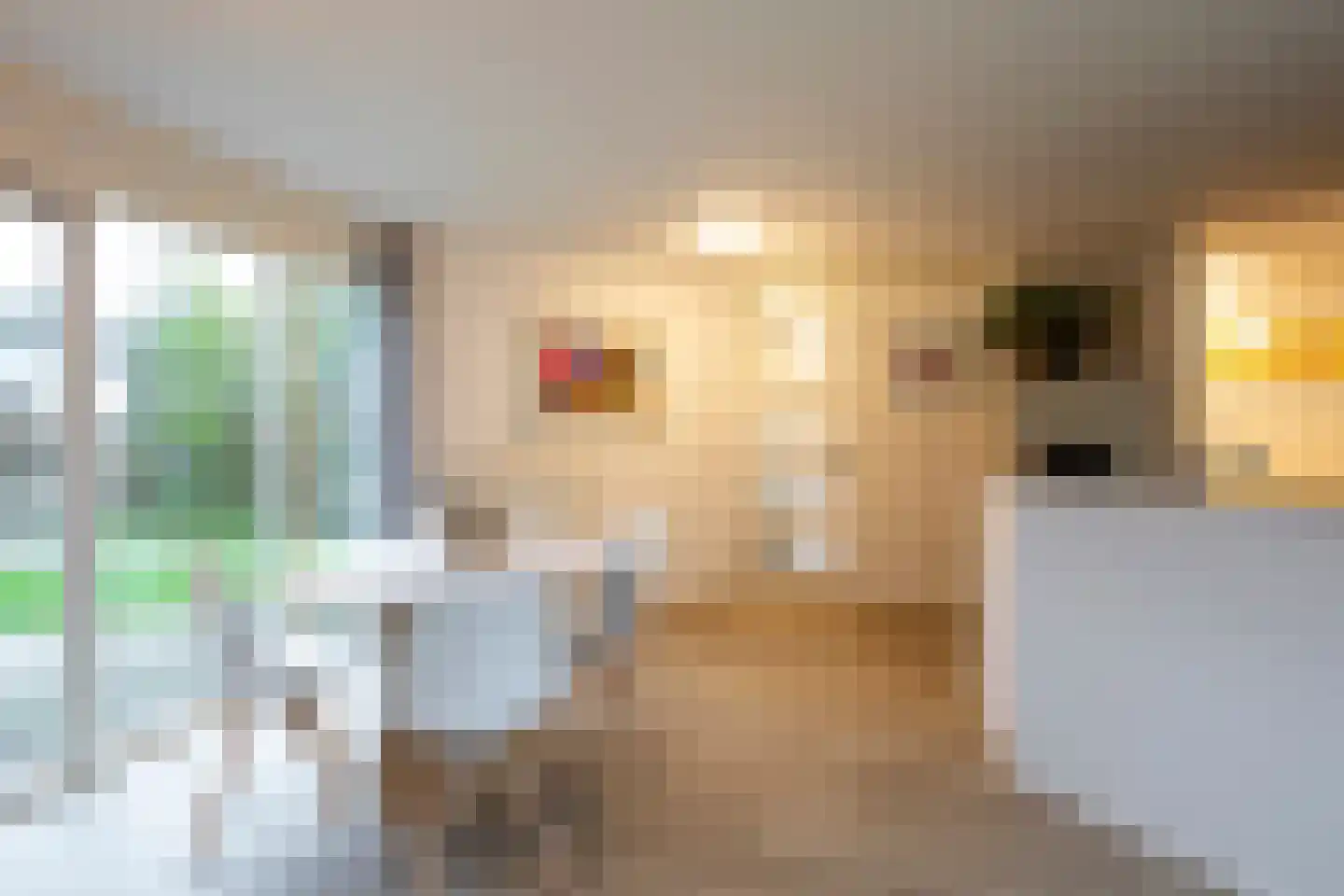 Scheibaan 17 24 Oisterwijk thumbnail 4