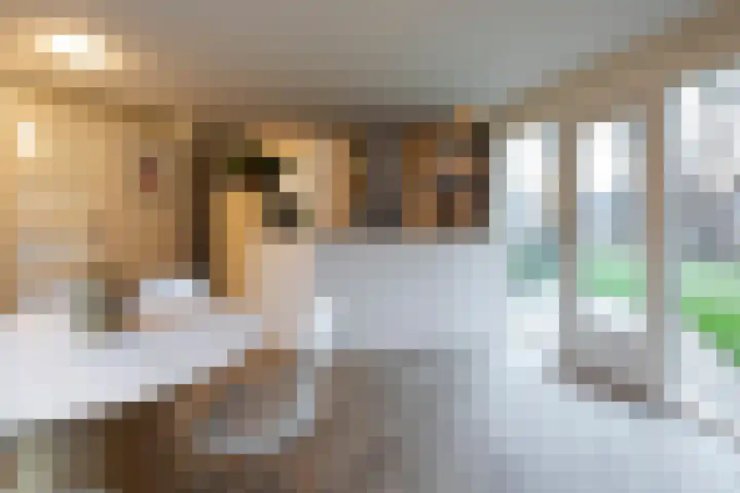 Scheibaan 17 24 Oisterwijk thumbnail 7