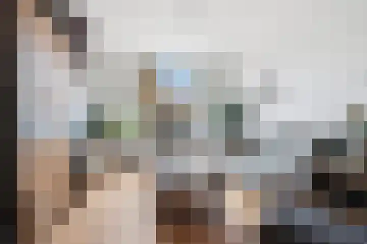 Scheibeekstraat 28 Assendelft thumbnail 5