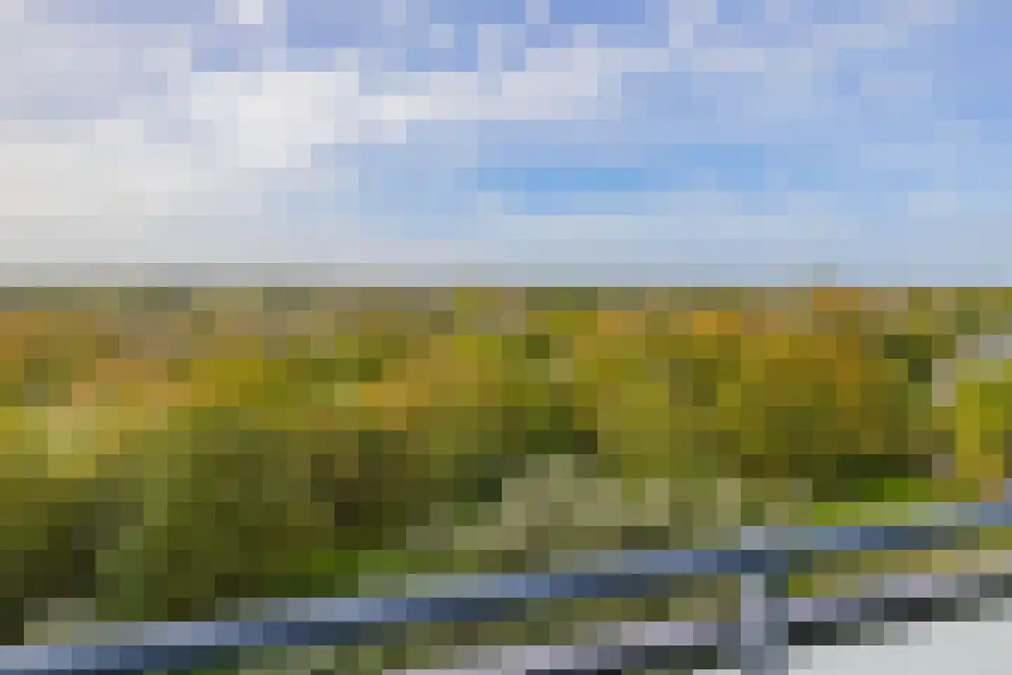 Scheiberglaan 142 IJmuiden thumbnail 23