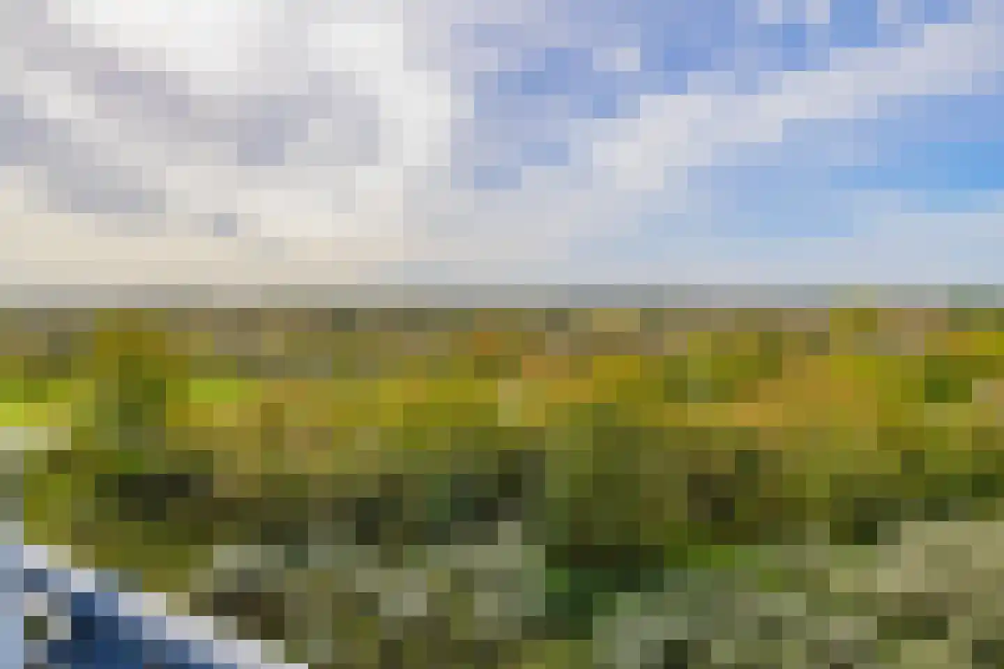Scheiberglaan 142 IJmuiden thumbnail 26