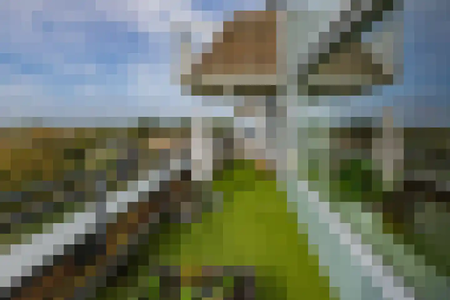 Scheiberglaan 142 IJmuiden thumbnail 4