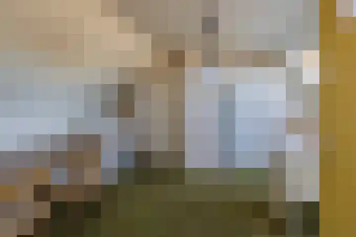 Scheiberglaan 25 IJmuiden thumbnail 32