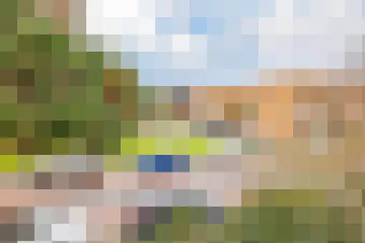 Scheiberglaan 59 IJmuiden thumbnail 32