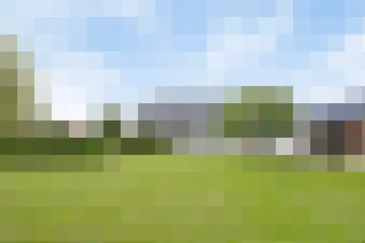 Scheiddijk 13 Mariënvelde thumbnail 5