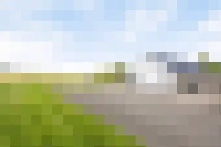 Scheiddijk 13 Mariënvelde thumbnail 56