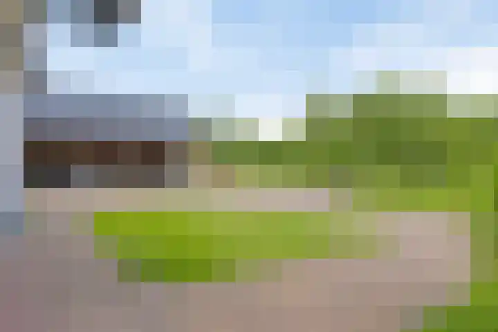 Scheiddijk 13 Mariënvelde thumbnail 57