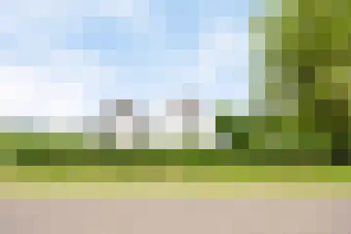 Scheiddijk 13 Mariënvelde thumbnail 6