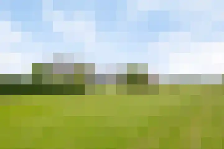 Scheiddijk 13 Mariënvelde thumbnail 65