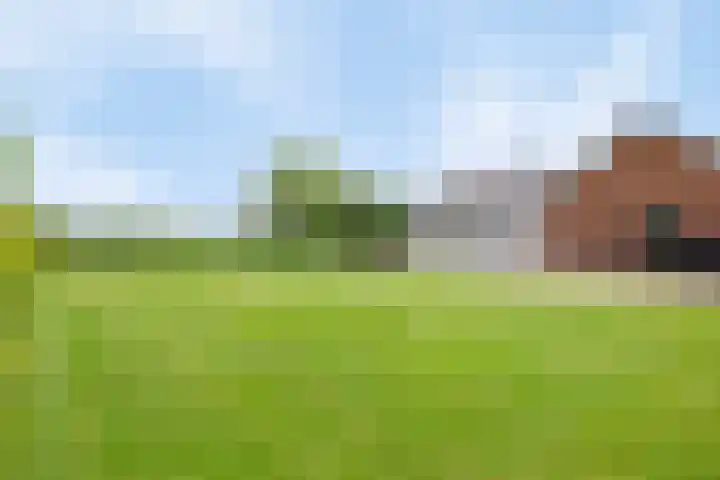 Scheiddijk 13 Mariënvelde thumbnail 66