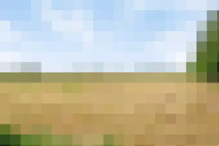 Scheiddijk 13 Mariënvelde thumbnail 69