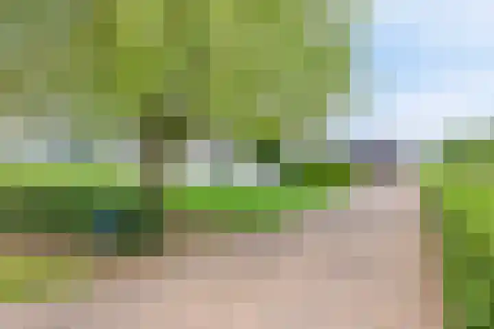 Scheiddijk 13 Mariënvelde thumbnail 7