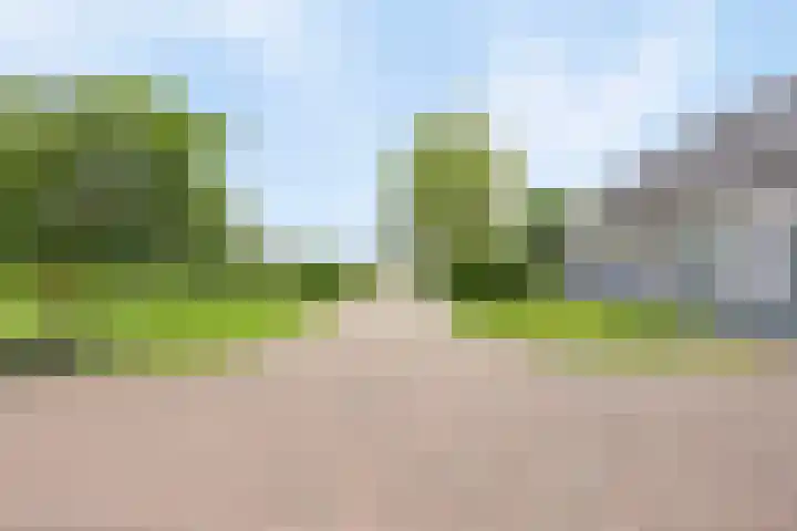 Scheiddijk 13 Mariënvelde thumbnail 71