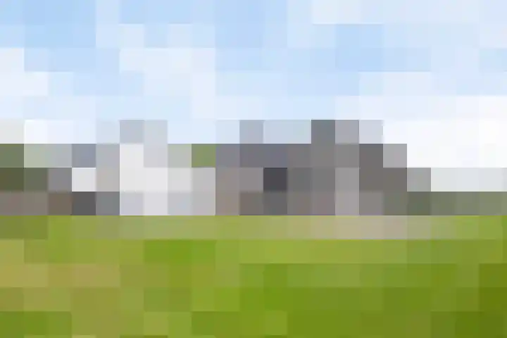 Scheiddijk 13 Mariënvelde thumbnail 75