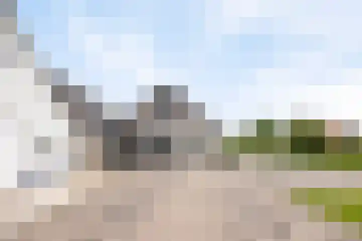 Scheiddijk 13 Mariënvelde thumbnail 78