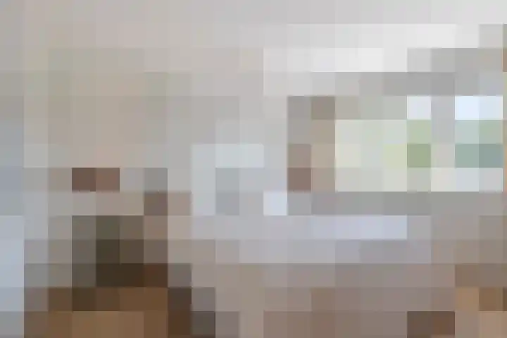 Scheidingslaan 10 Papendrecht thumbnail 11