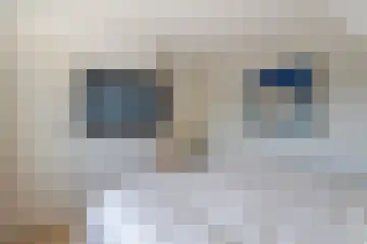 Scheidingslaan 10 Papendrecht thumbnail 12