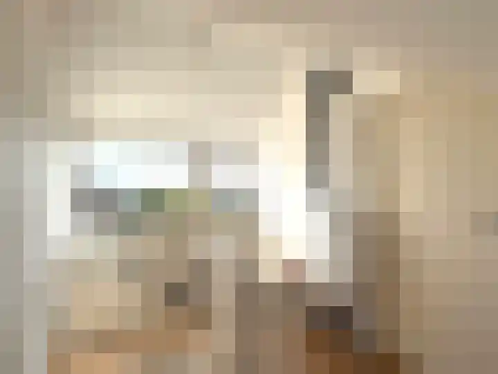 Scheidingslaan 10 Papendrecht thumbnail 17