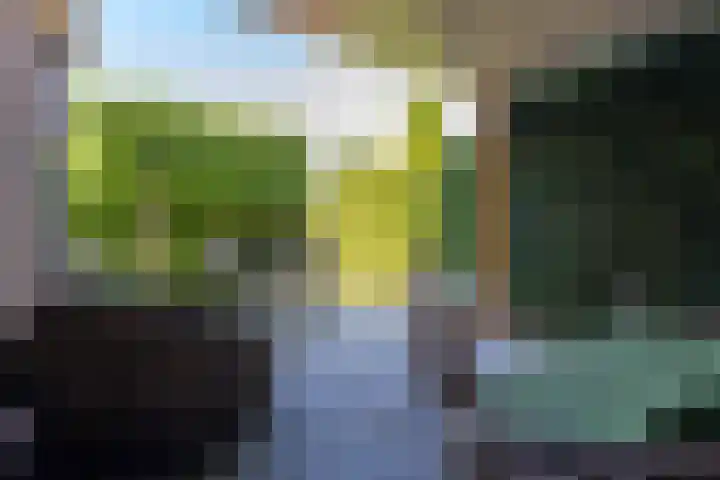 Scheidingslaan 10 Papendrecht thumbnail 20
