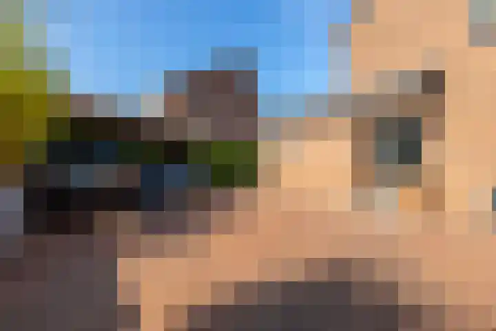 Scheidingslaan 10 Papendrecht thumbnail 23