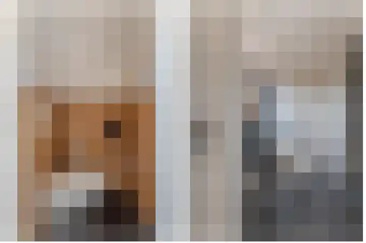 Scheidingslaan 10 Papendrecht thumbnail 7