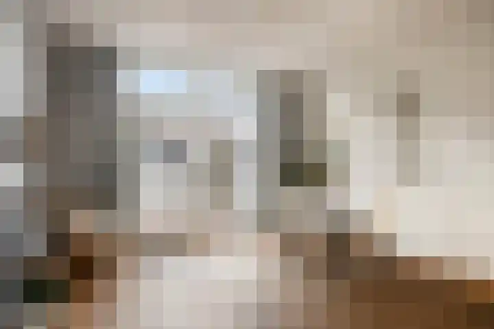 Scheidingstraat 122 Eindhoven thumbnail 10