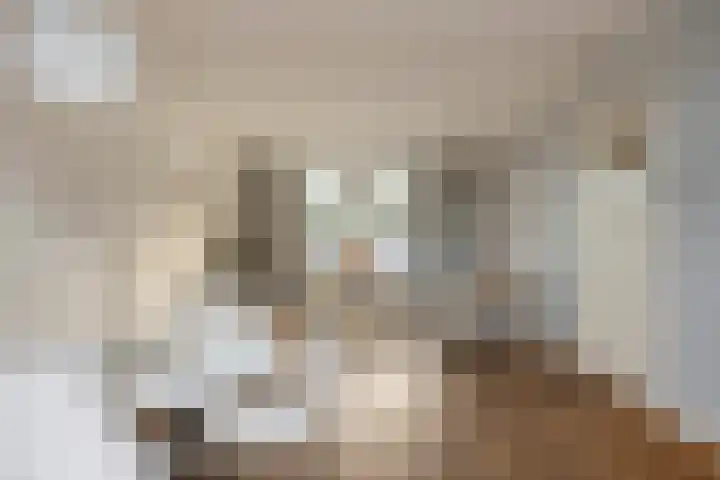 Scheidingstraat 122 Eindhoven thumbnail 11