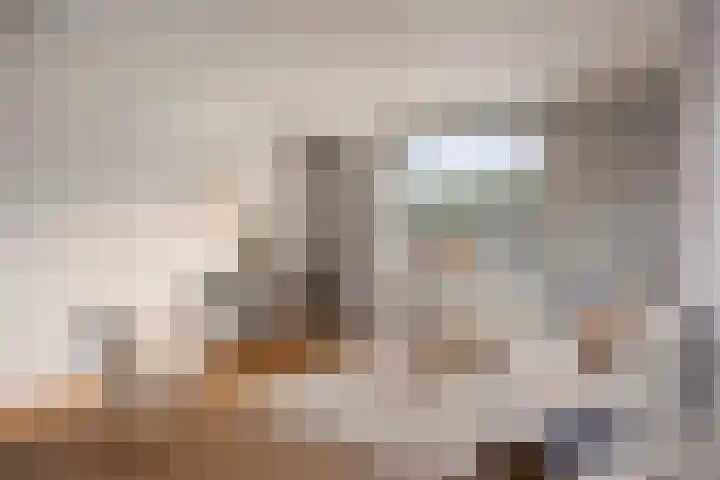 Scheidingstraat 122 Eindhoven thumbnail 12
