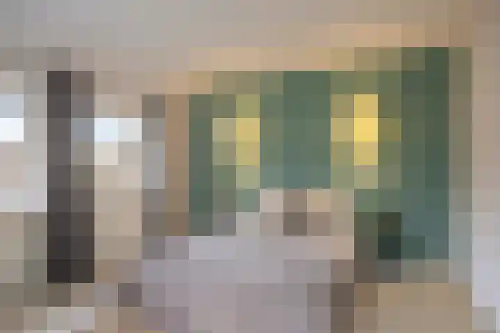 Scheidingstraat 122 Eindhoven thumbnail 14