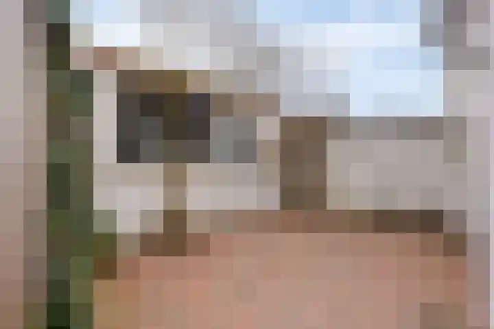 Scheidingstraat 122 Eindhoven thumbnail 19