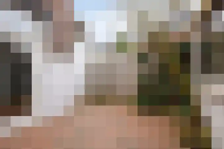 Scheidingstraat 122 Eindhoven thumbnail 21