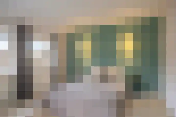 Scheidingstraat 122 Eindhoven thumbnail 4