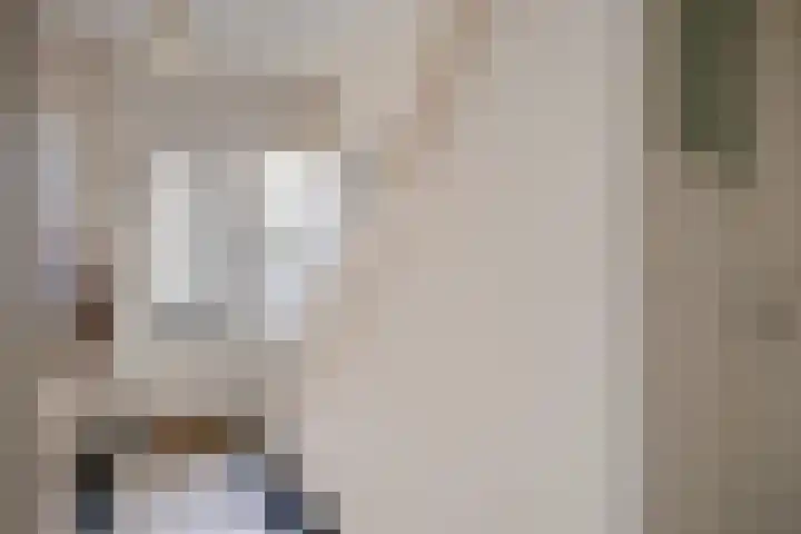 Scheidingstraat 122 Eindhoven thumbnail 6