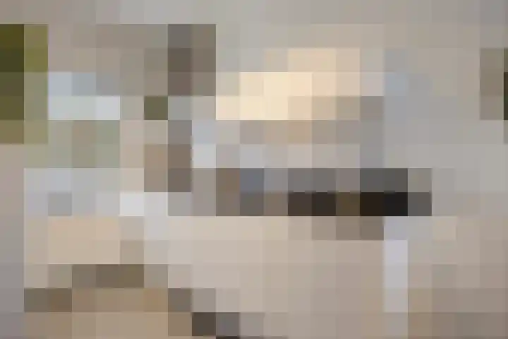 Scheidingstraat 122 Eindhoven thumbnail 7