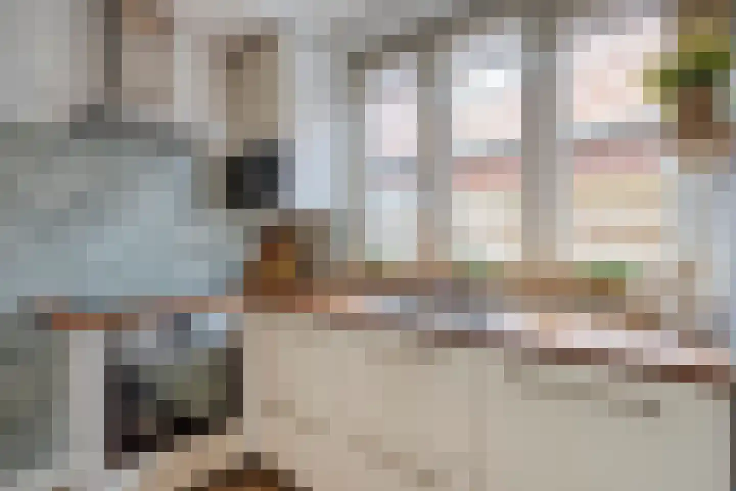 Scheidingstraat 14 Elshout thumbnail 15