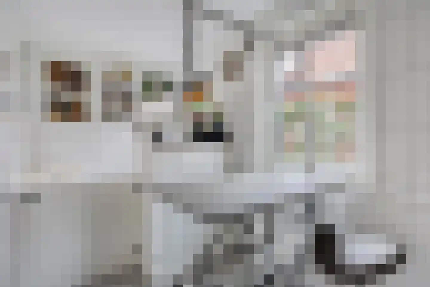 Scheidingstraat 14 Elshout thumbnail 20