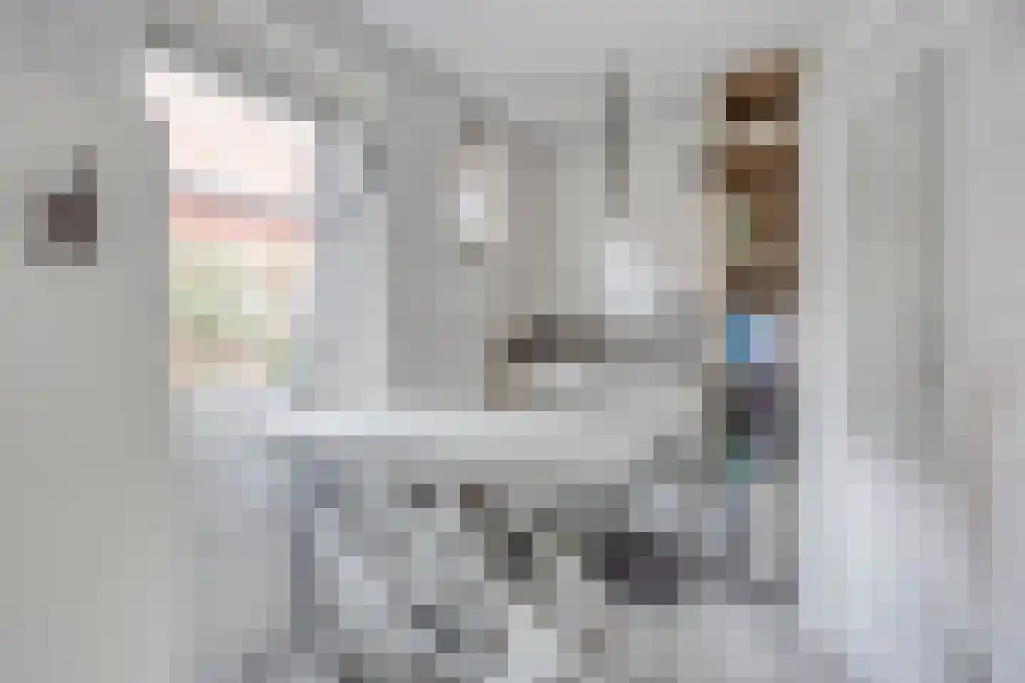 Scheidingstraat 14 Elshout thumbnail 21