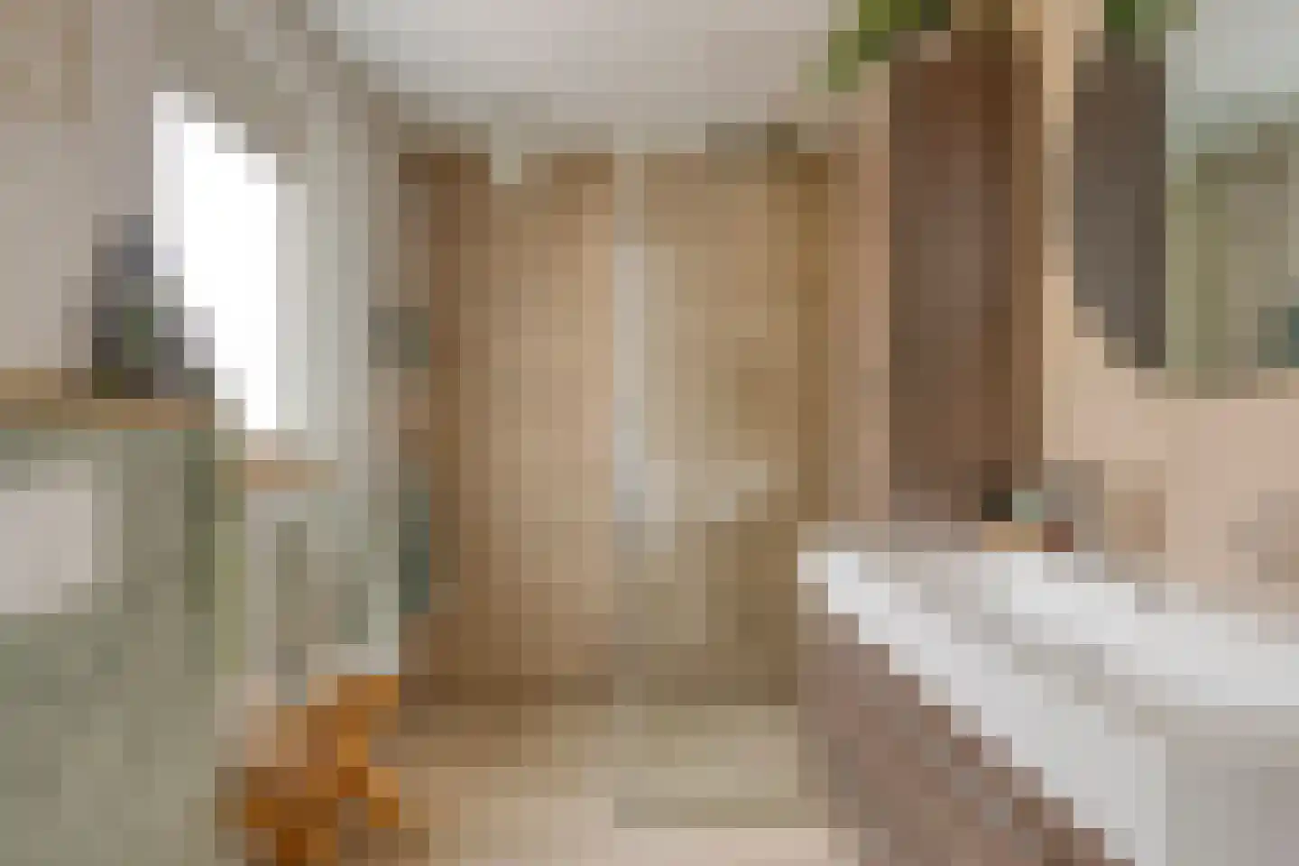 Scheidingstraat 14 Elshout thumbnail 22