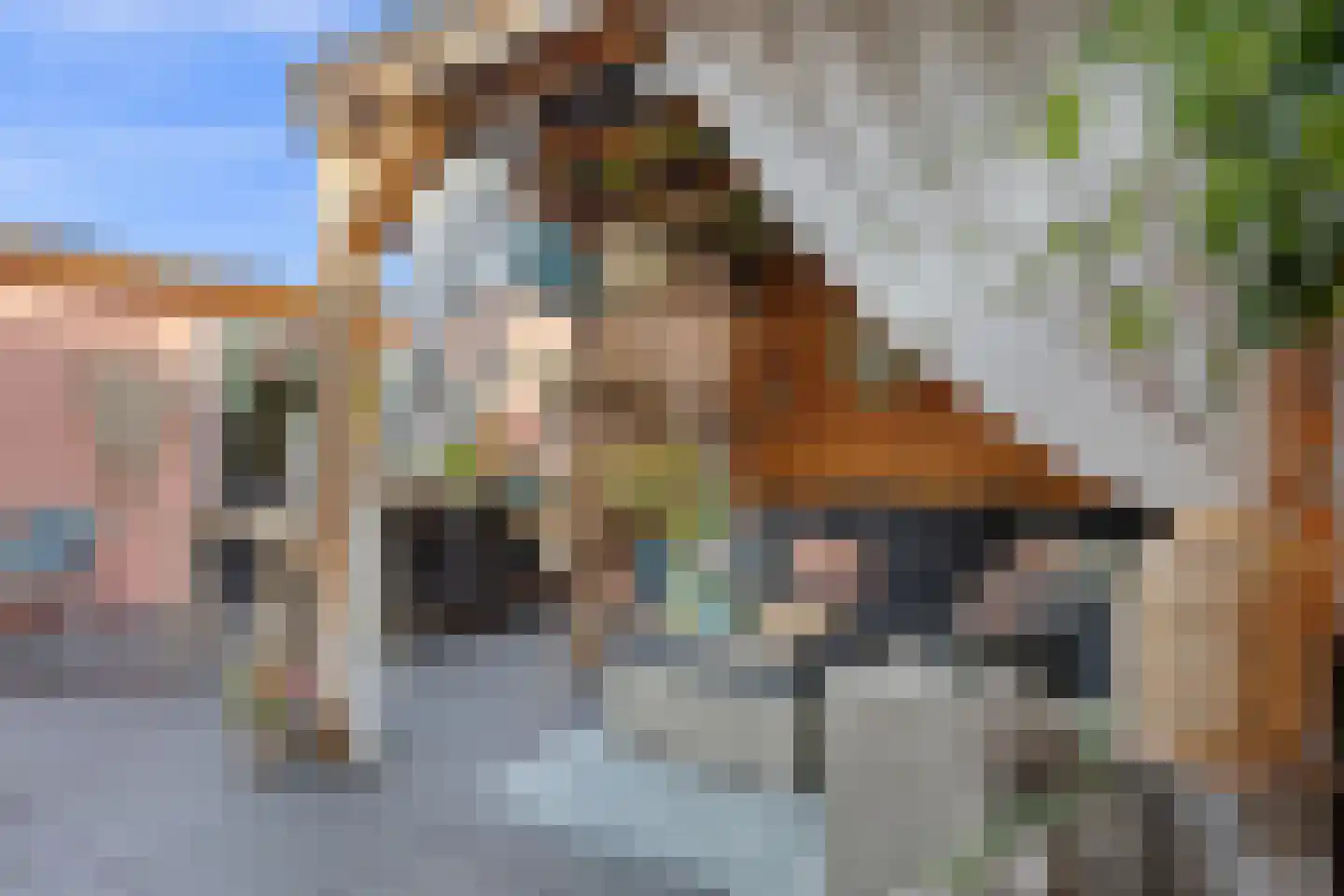 Scheidingstraat 14 Elshout thumbnail 33