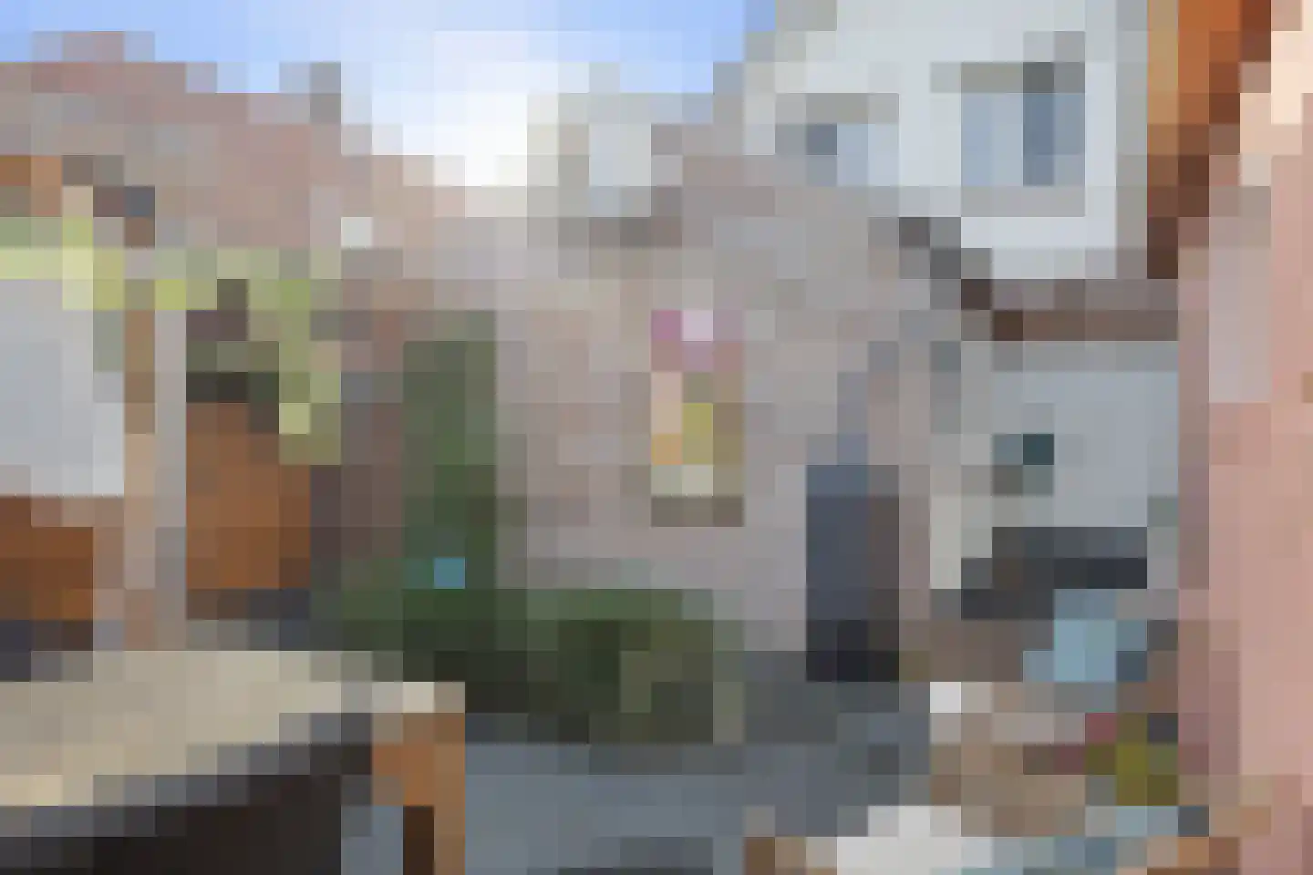 Scheidingstraat 14 Elshout thumbnail 34