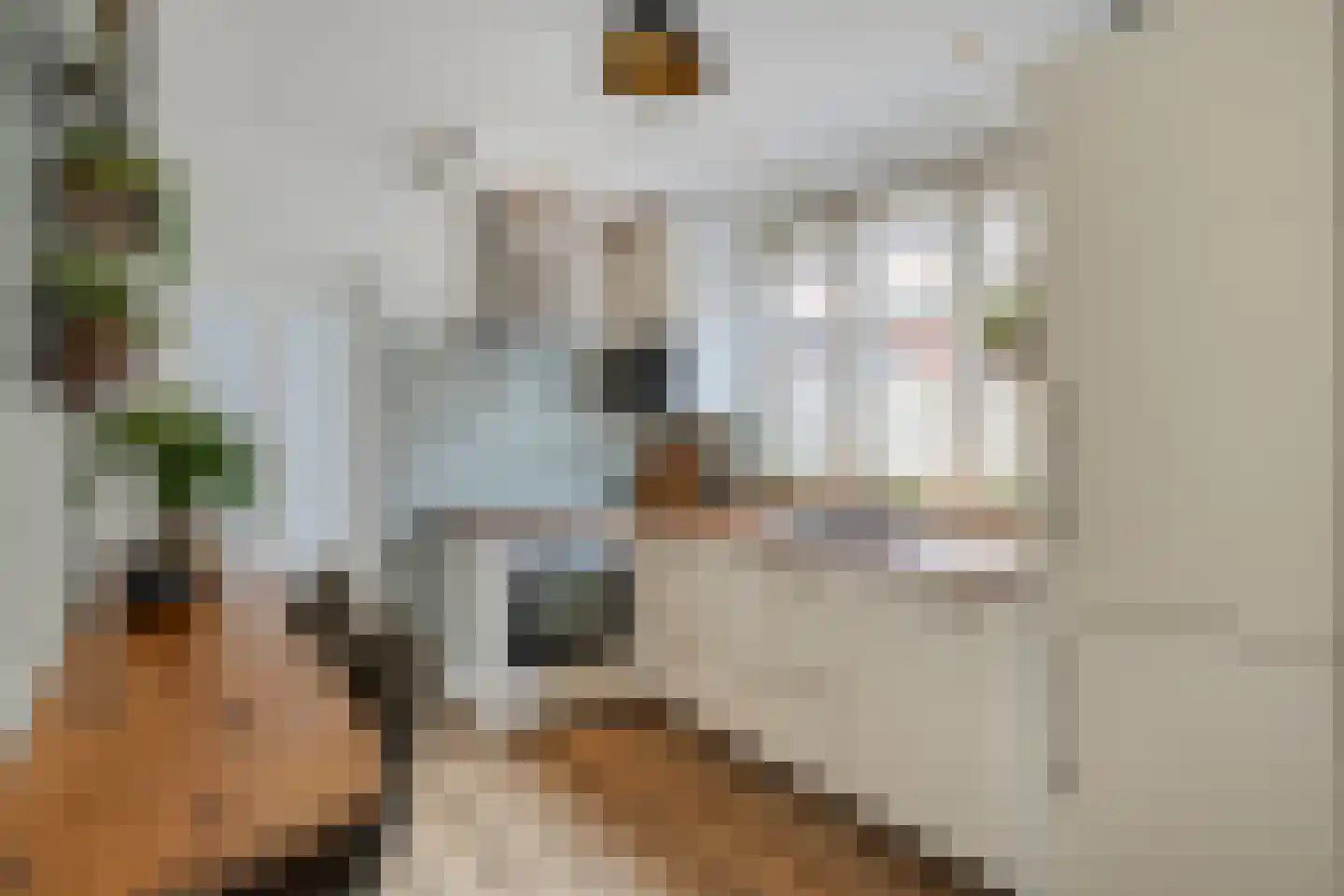 Scheidingstraat 14 Elshout thumbnail 4