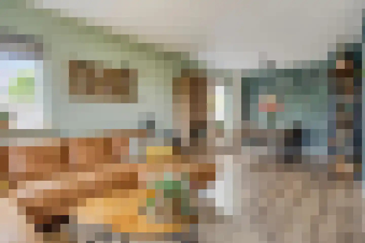 Scheidingstraat 14 Elshout thumbnail 8