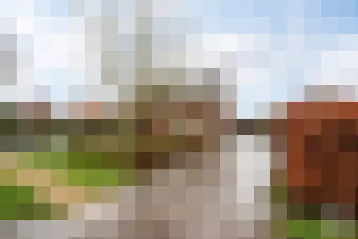 Scheidingstraat 15 Eede