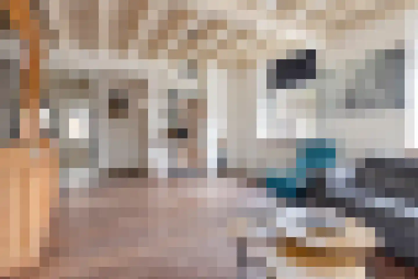 Scheidingstraat 16 Elshout thumbnail 16